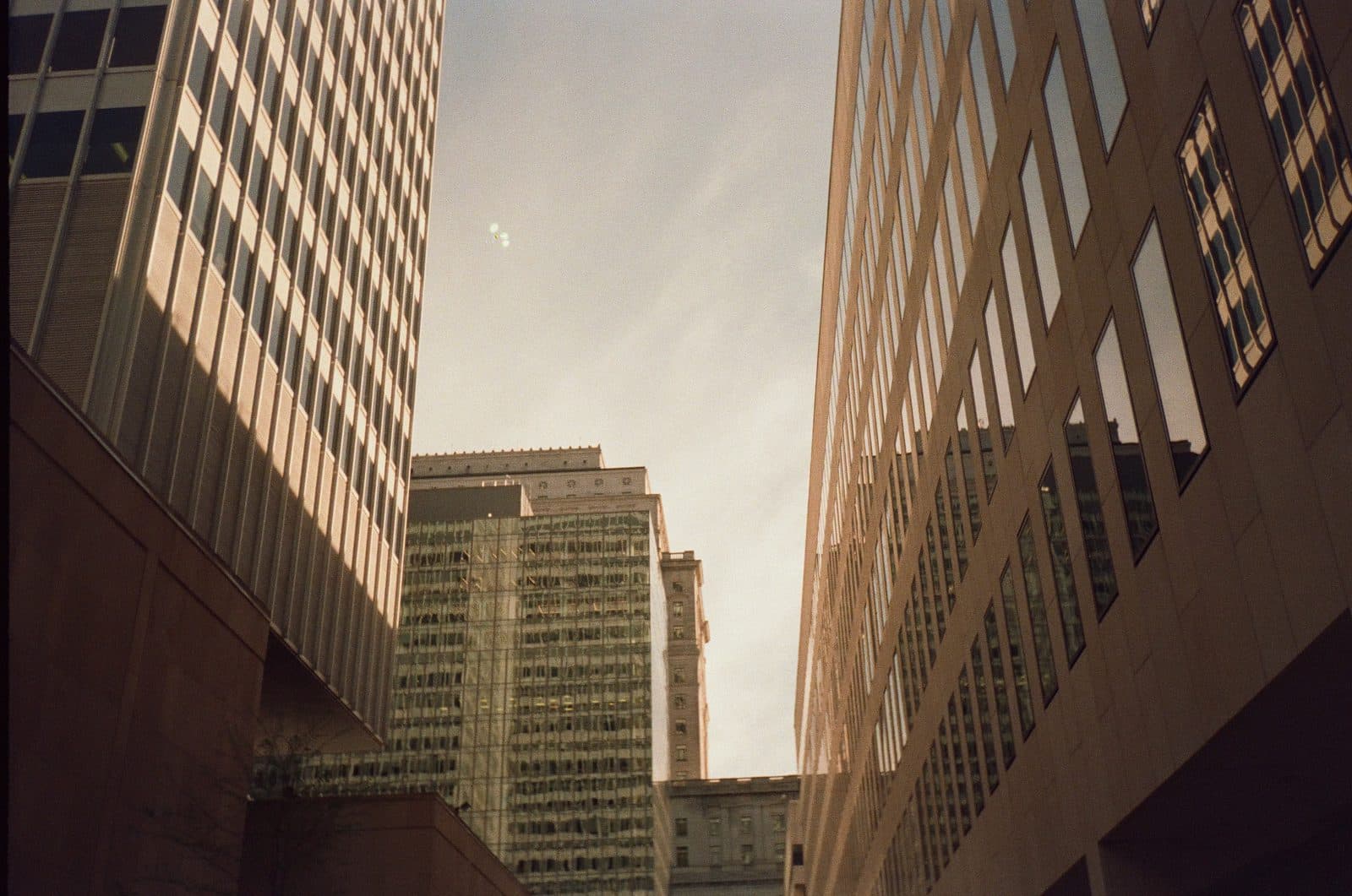 Shot by Nad — photograph 2