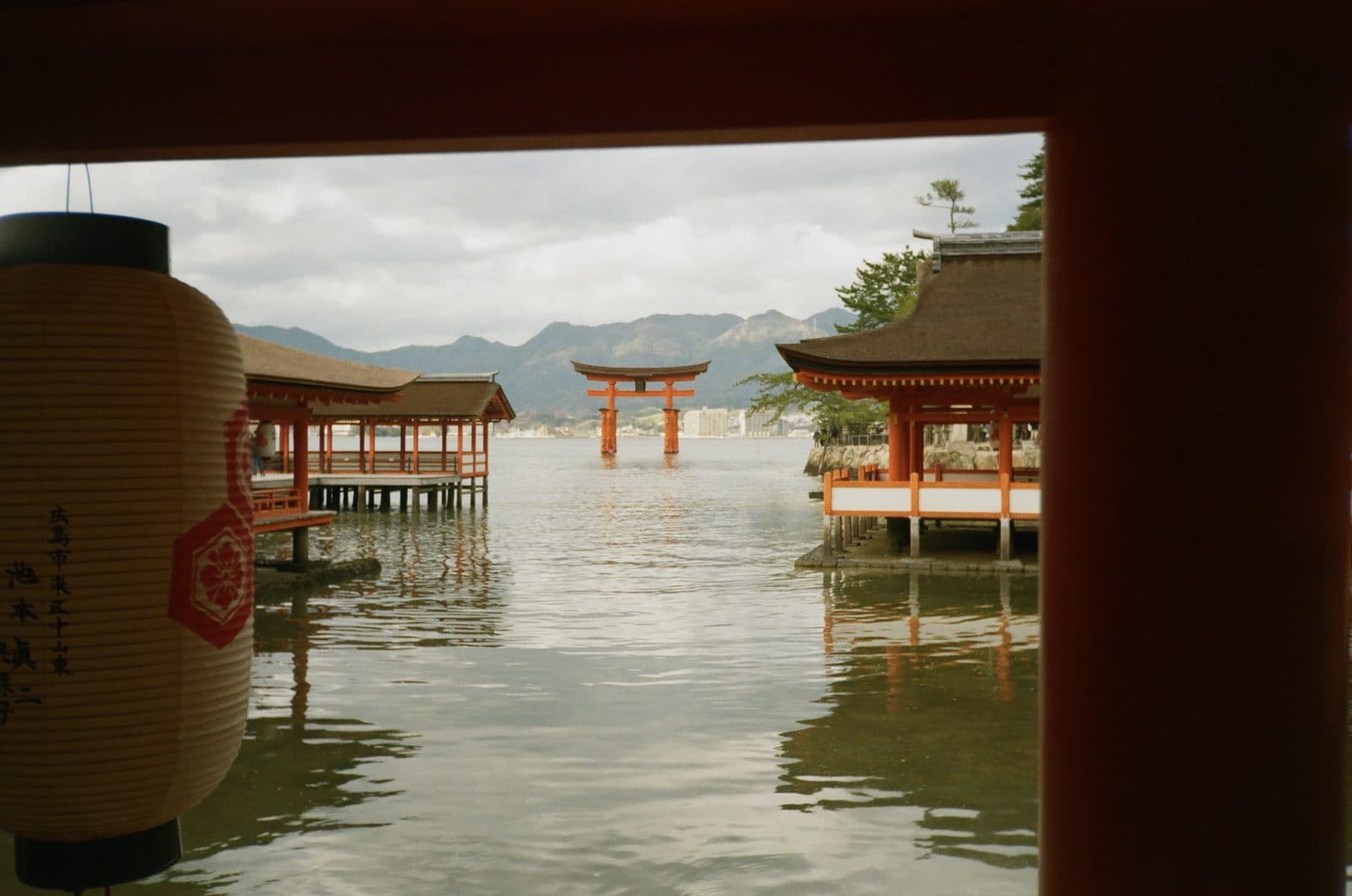 Shot by Nad — photograph 5