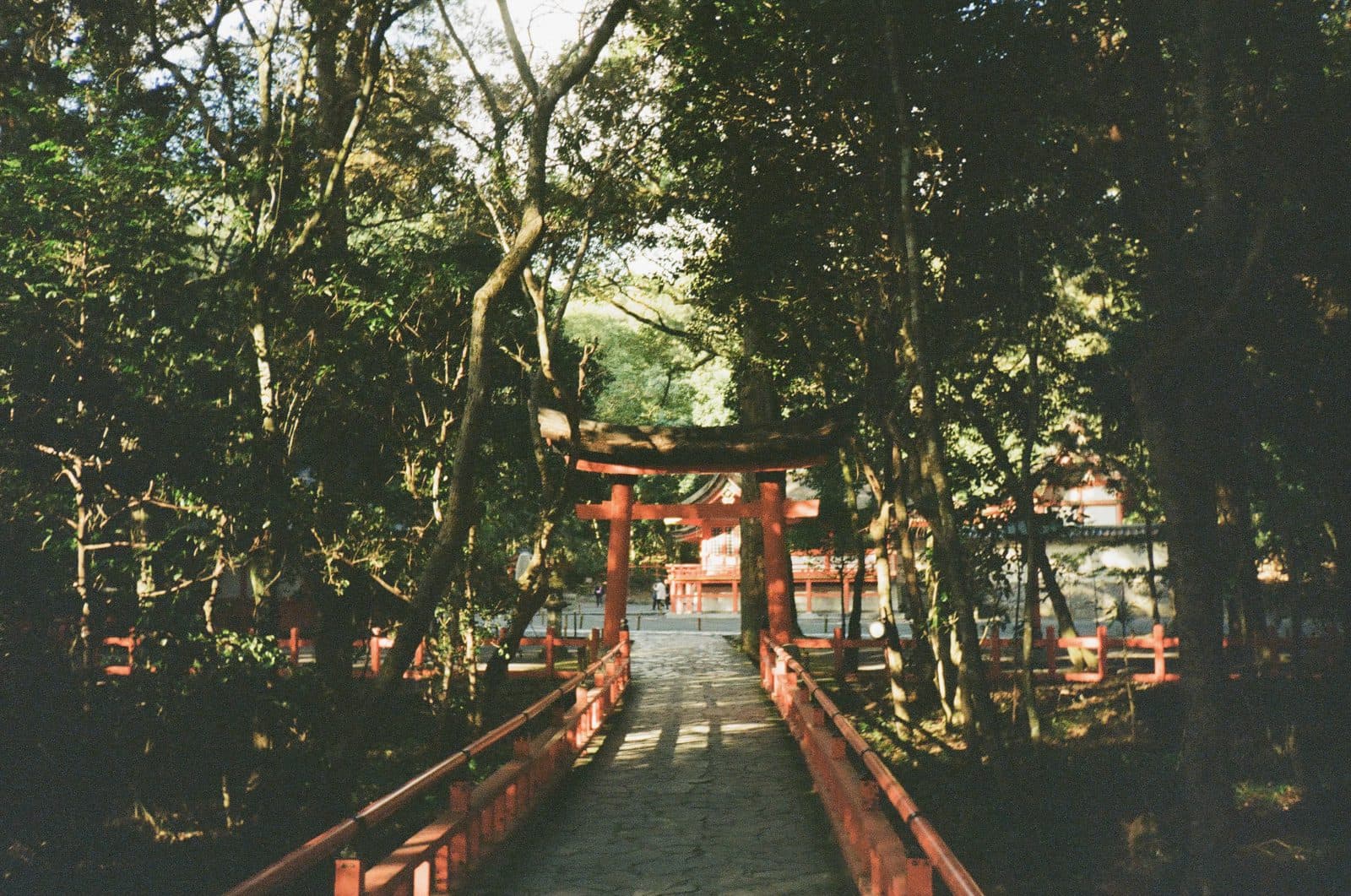 Shot by Nad — photograph 6
