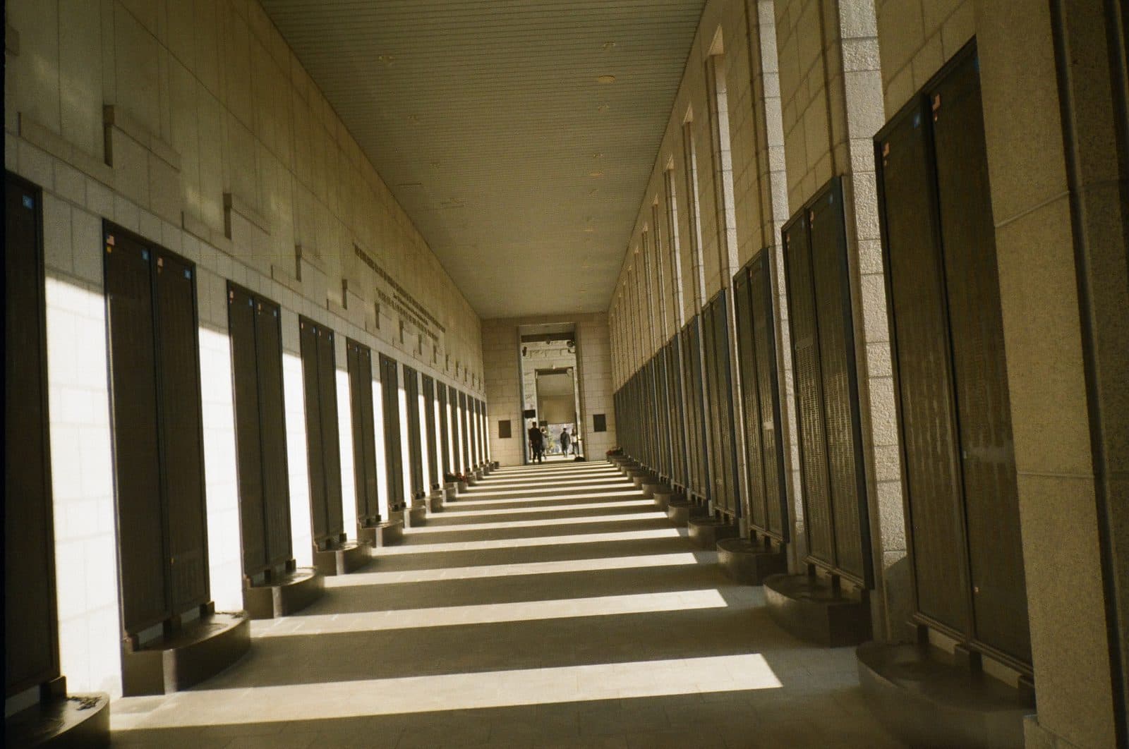Shot by Nad — photograph 8