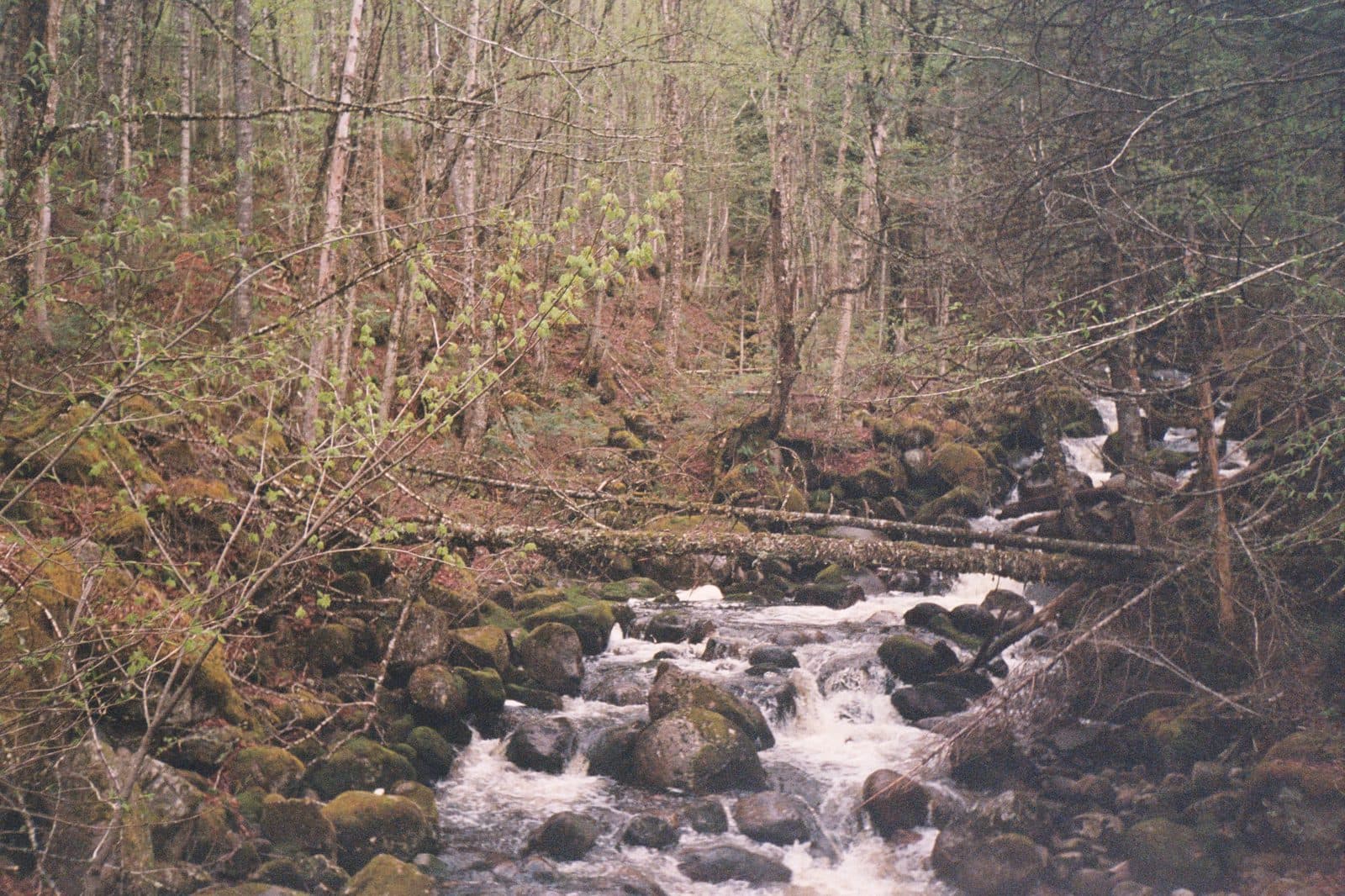 Shot by Nad — photograph 9