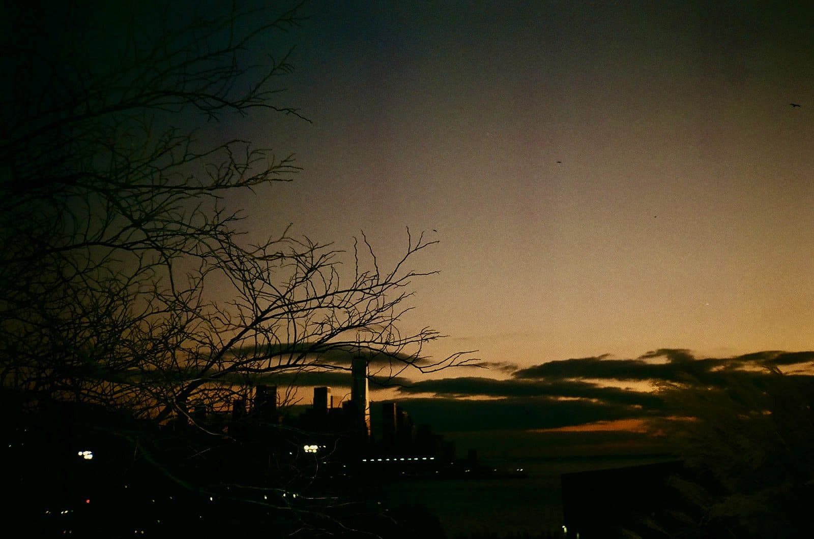 Shot by Nad — photograph 11