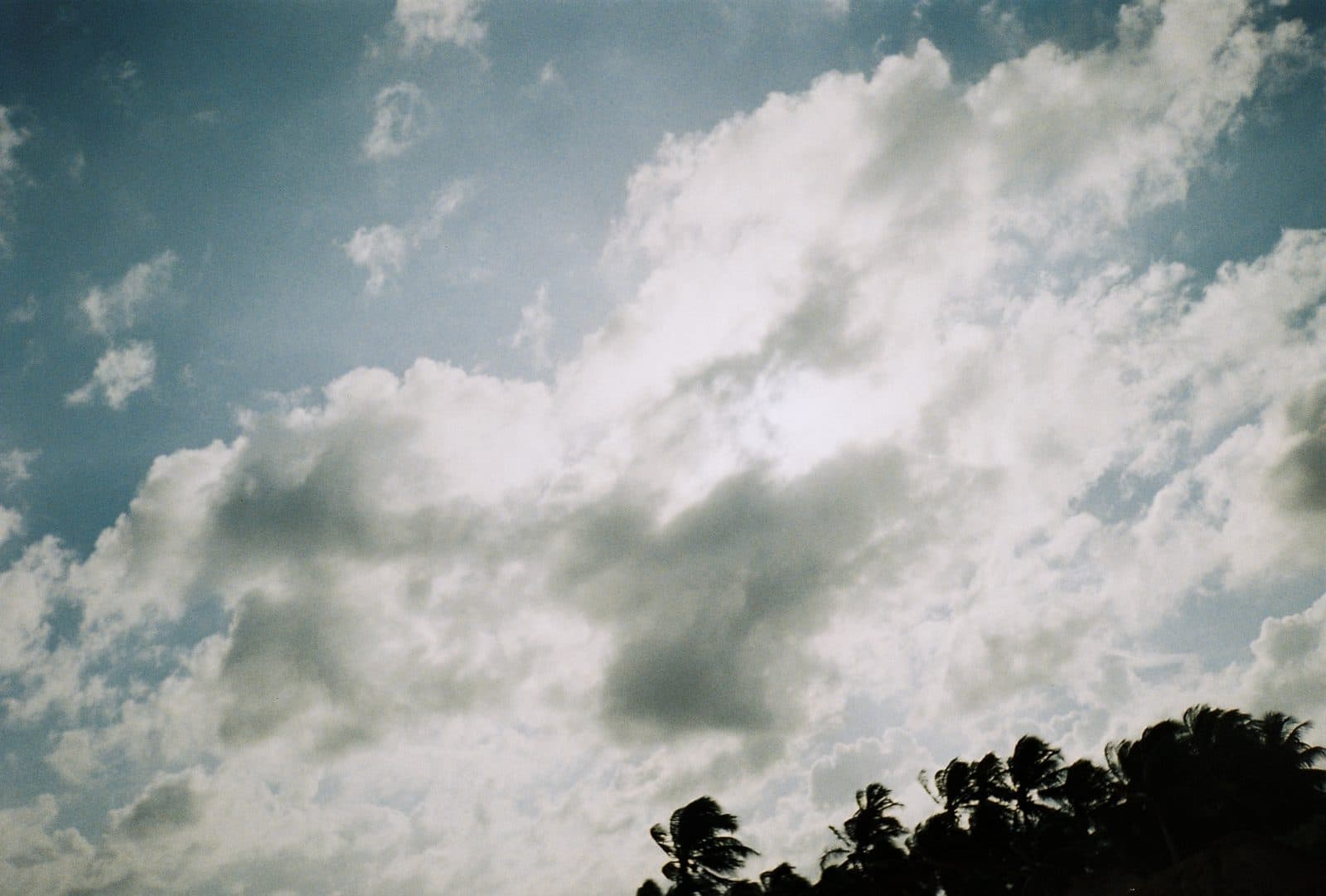 Shot by Nad — photograph 13