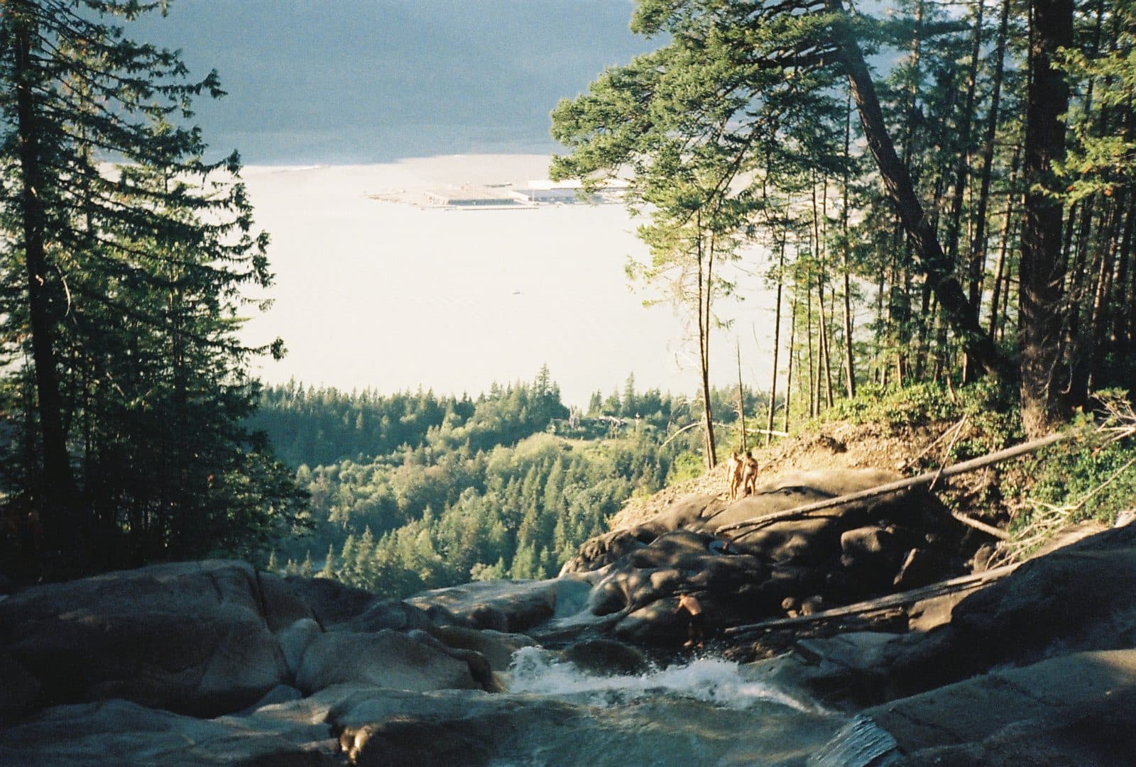 Shot by Nad — photograph 14