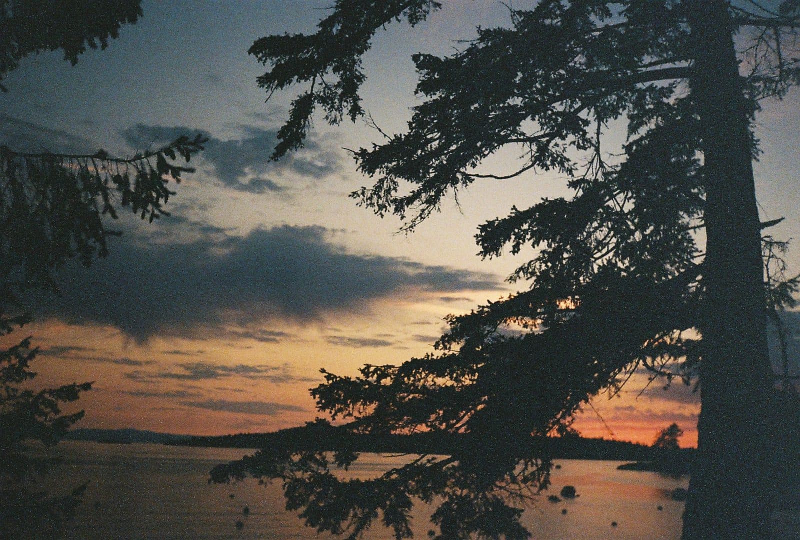 Shot by Nad — photograph 17
